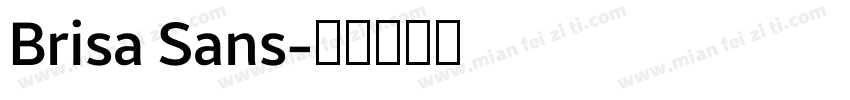 Brisa Sans字体转换
